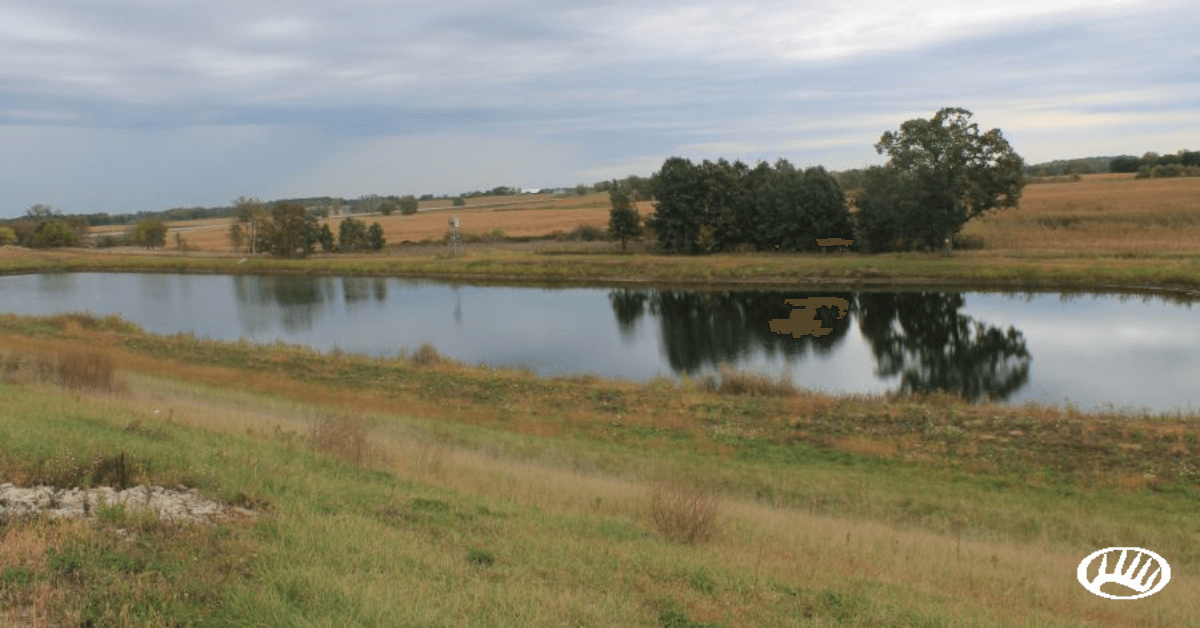 What Makes a Great Duck Hunting Property